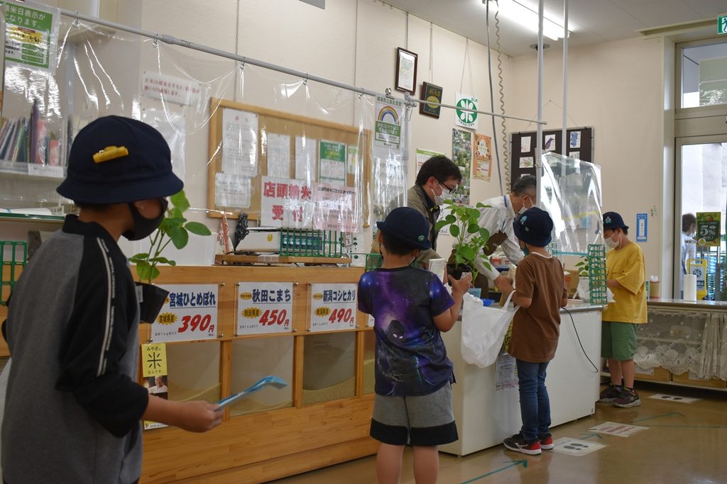 東京あおば・0517・小学生がお買い物体験　練馬地区アグリセンターが協力